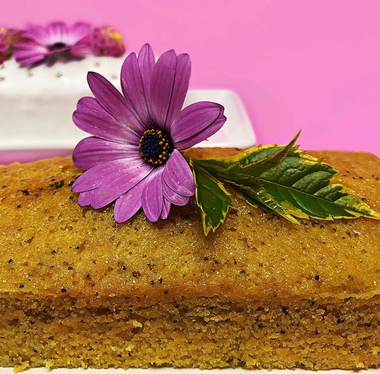 Tortas Saludables y Naturales